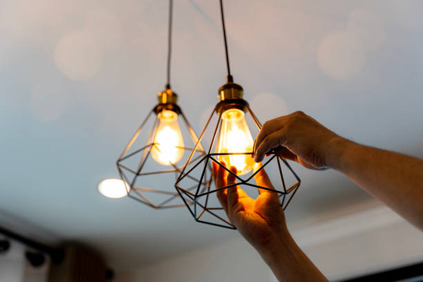 Best Electric Panel Repair  in Sanford, NC